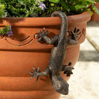 The Garden Gecko