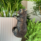 The Climbing Bear