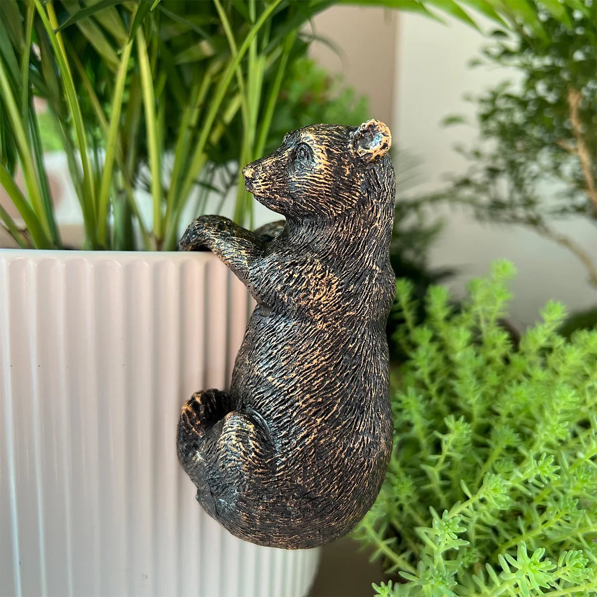 The Climbing Bear