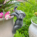 The Little Elephant