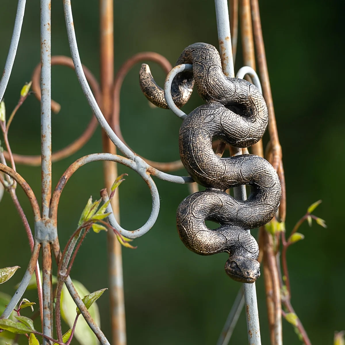 The Coiled Serpent