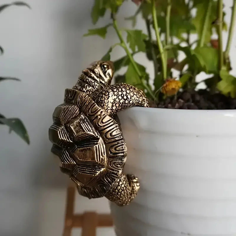 The Wandering Tortoise