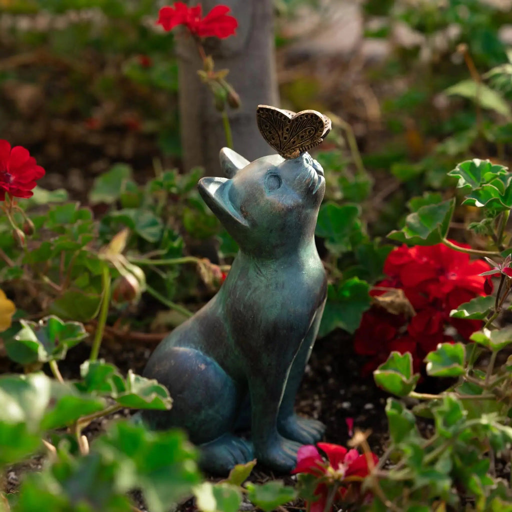 Curious Cat & Butterfly