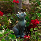 Curious Cat & Butterfly