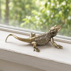 Bertie the Bearded Dragon