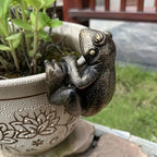 The Charming Frog