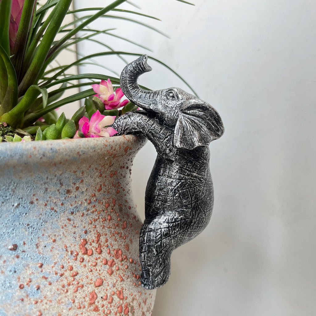 The Little Elephant