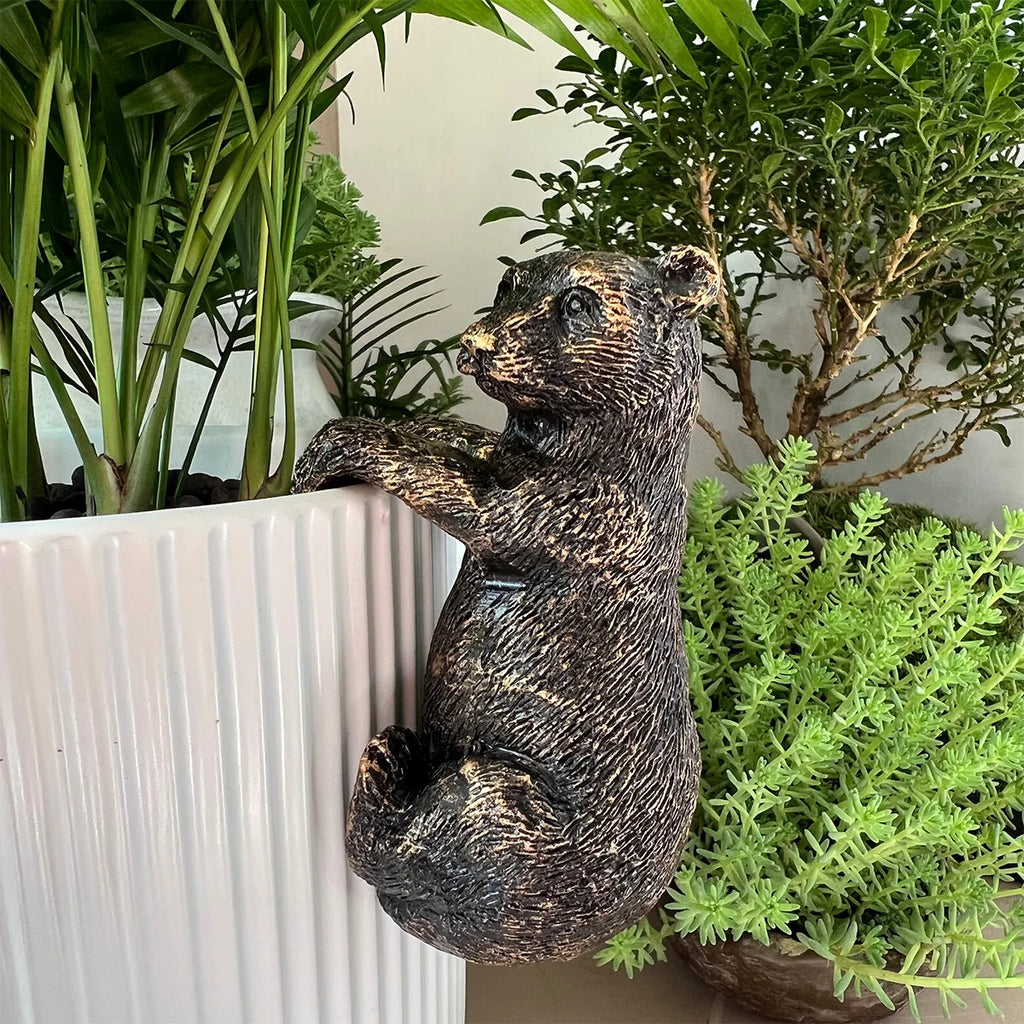 The Climbing Bear