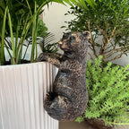 The Climbing Bear