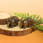 Arlo the Armadillo