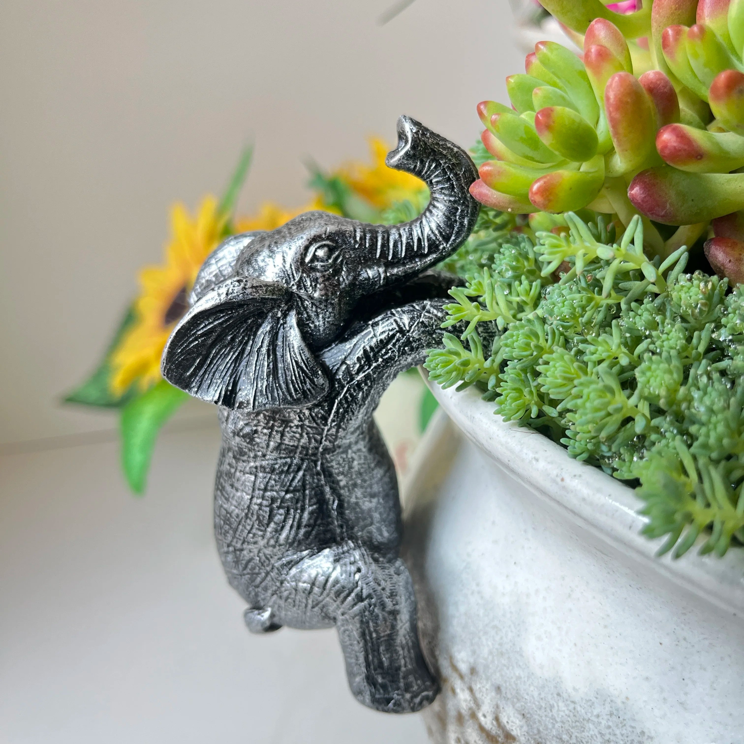 The Little Elephant