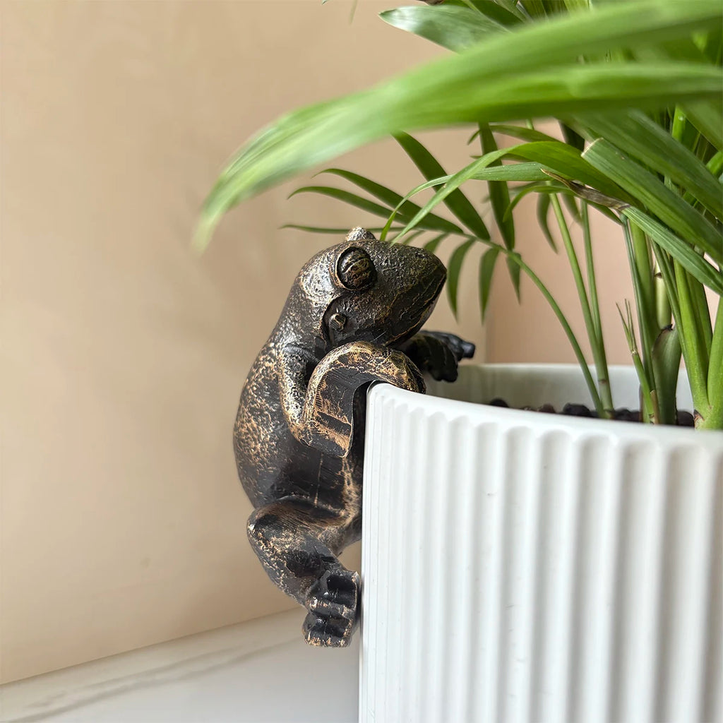 The Charming Frog