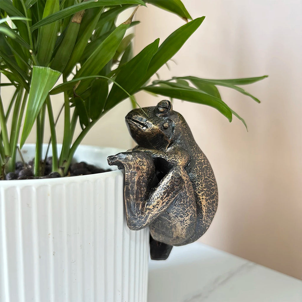 The Charming Frog