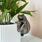 The Charming Frog