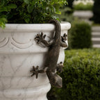 The Garden Gecko