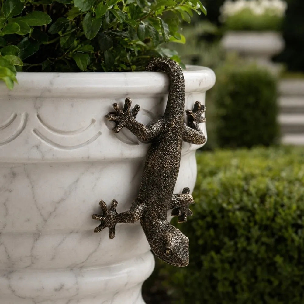 The Garden Gecko