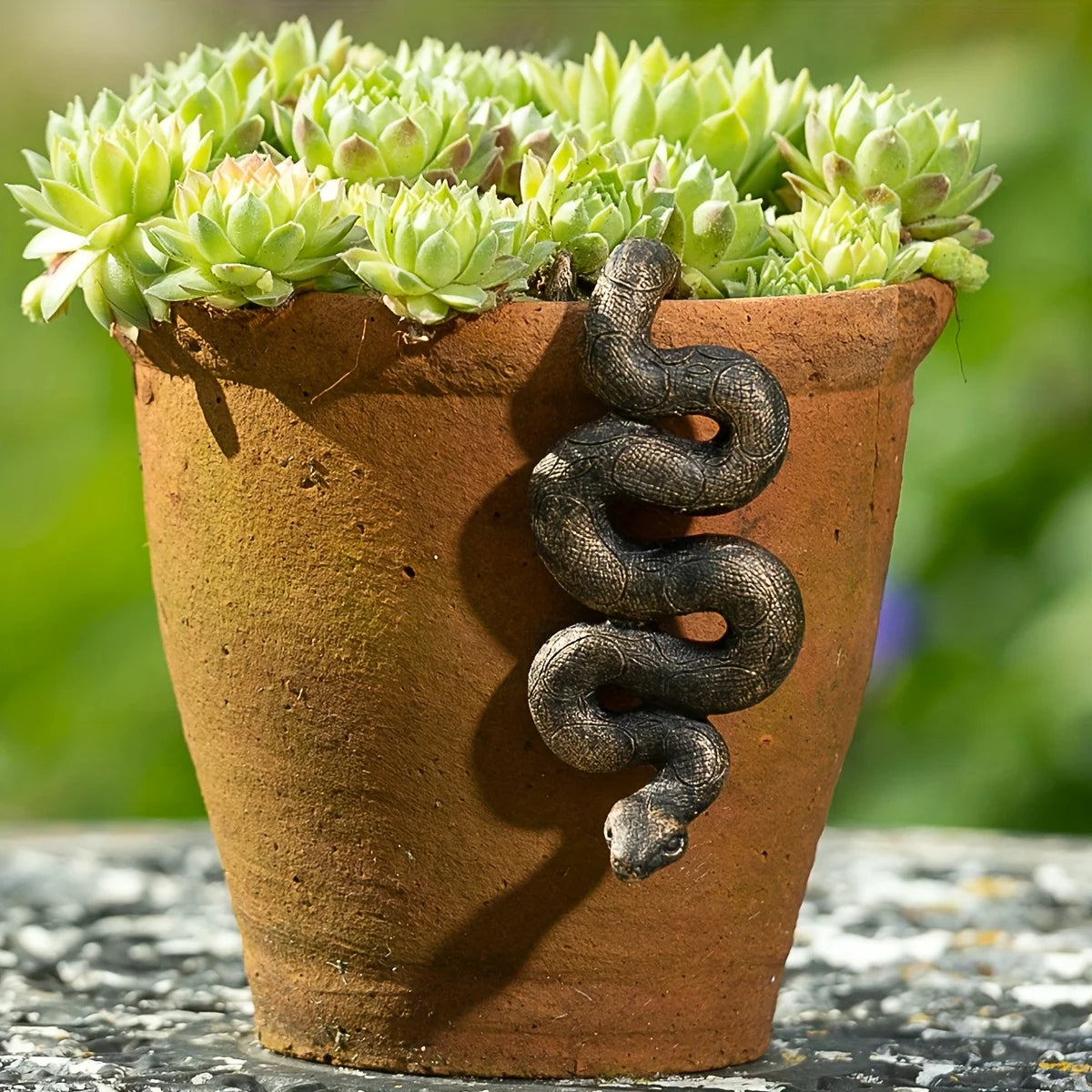 The Coiled Serpent