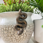 The Coiled Serpent