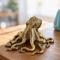 The Wandering Octopus
