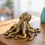 The Wandering Octopus
