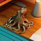 The Wandering Octopus
