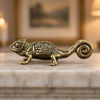 The Curious Chameleon