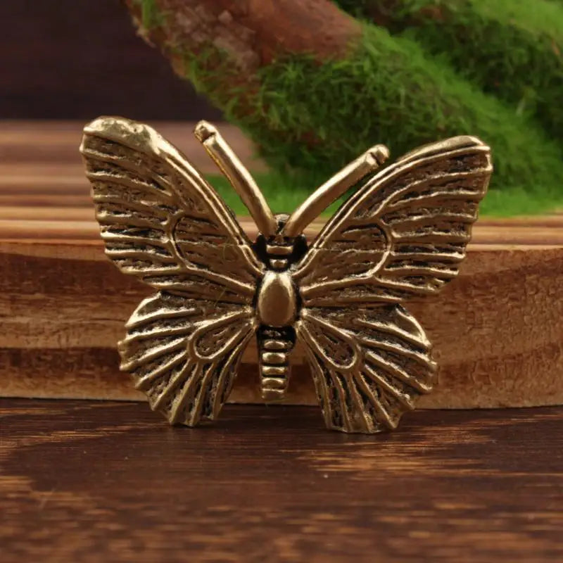 The Visiting Butterfly