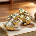 The Curious Bunny