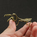 The Praying Mantis