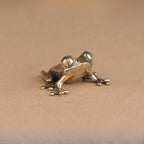 The Vigilant Tree Frog