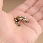 The Vigilant Tree Frog