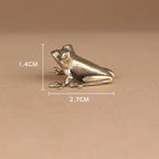 The Vigilant Tree Frog