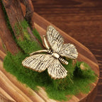The Visiting Butterfly