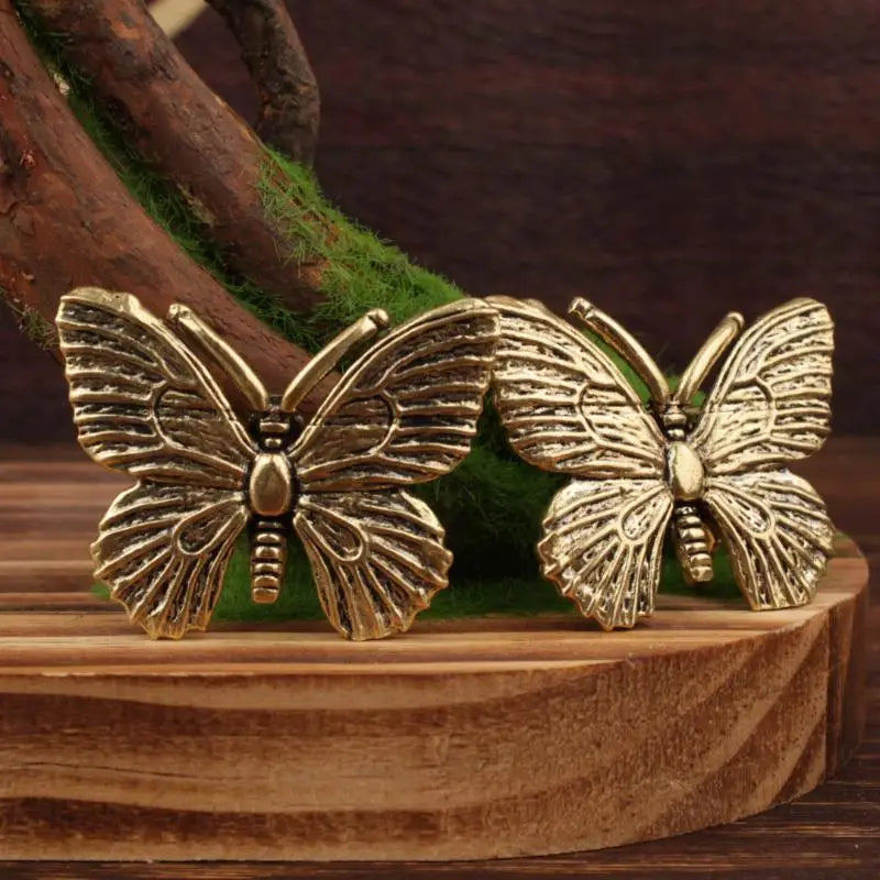 The Visiting Butterfly