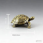 The Tenacious Tortoise