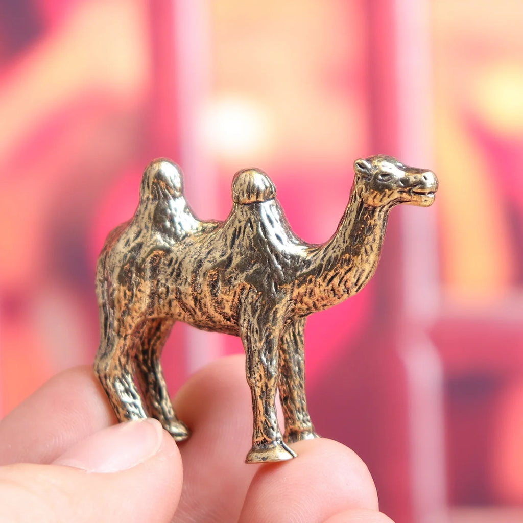 Cyrus the Camel – Hollow & Hedge