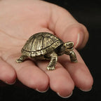 The Tenacious Tortoise