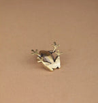 The Vigilant Tree Frog