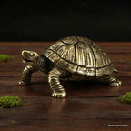 The Tenacious Tortoise