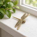 The Fortunate Dragonfly