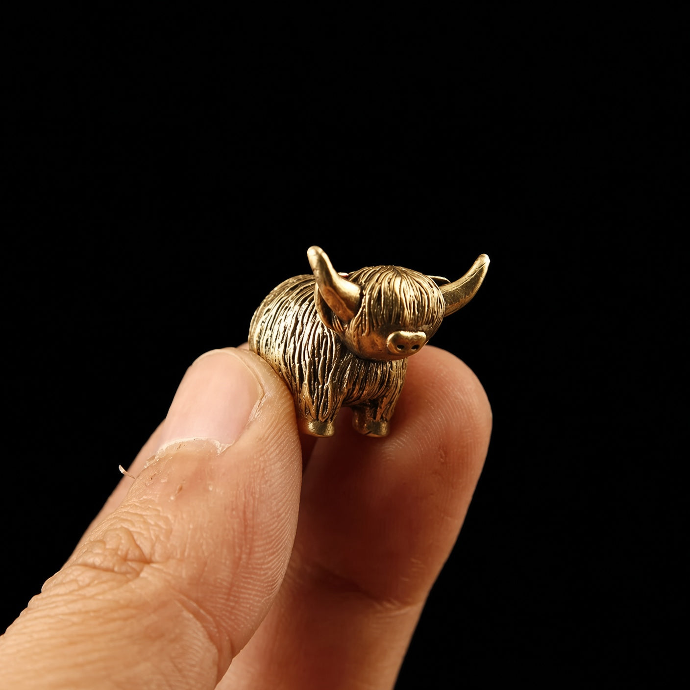 The Highland Cow