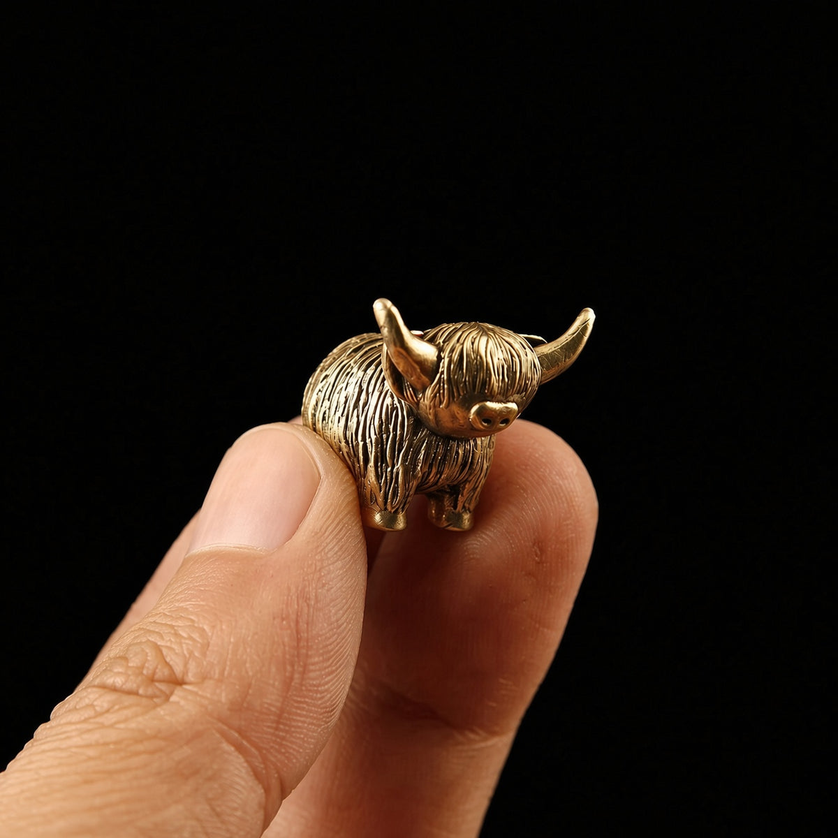 The Highland Cow