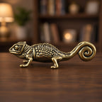 The Curious Chameleon