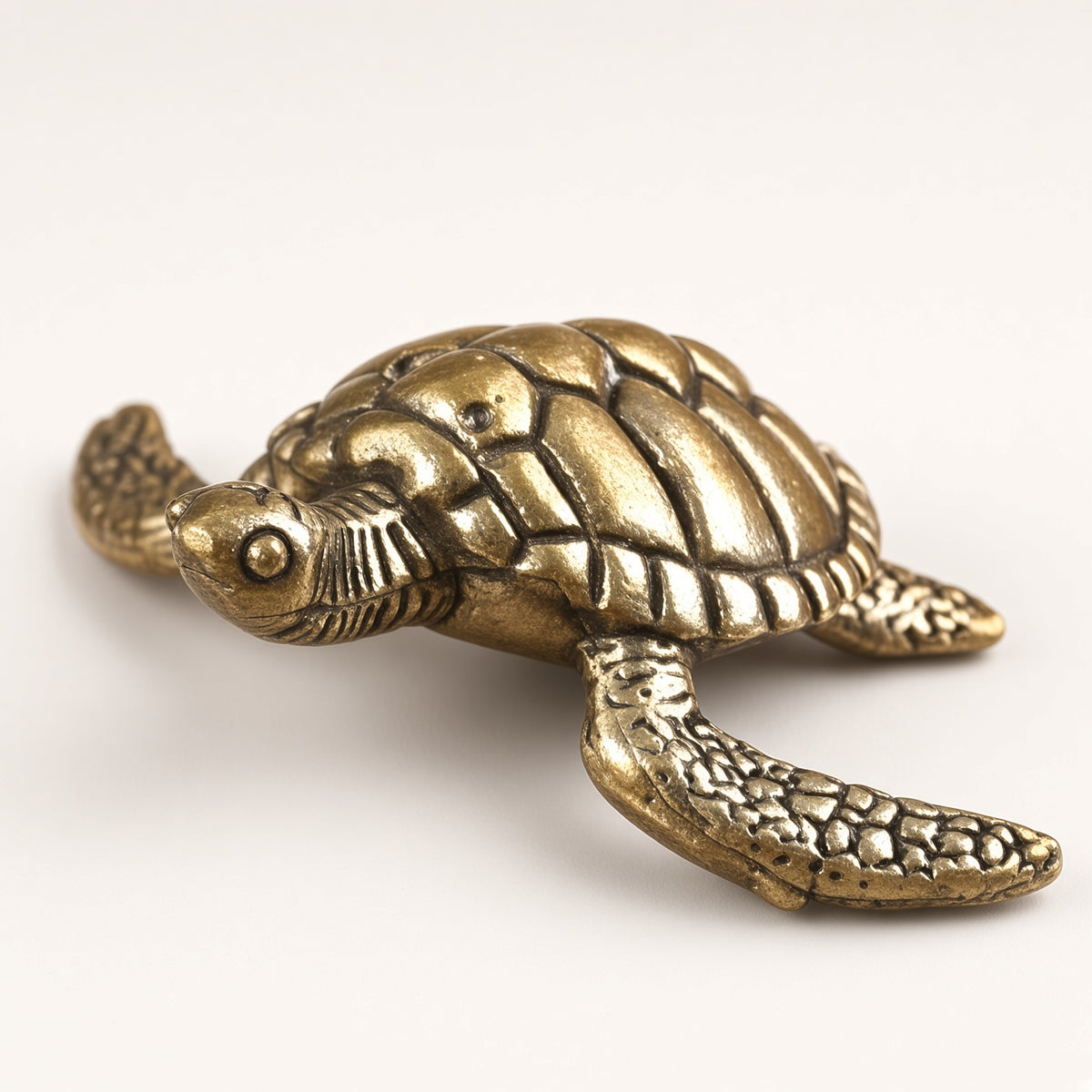 Theodore the Turtle