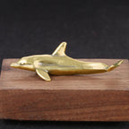 The Playful Dolphin