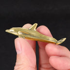The Playful Dolphin