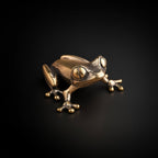 The Vigilant Tree Frog